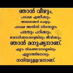 Meet your Posher, Rintu